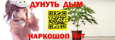 mdpv Заводоуковск