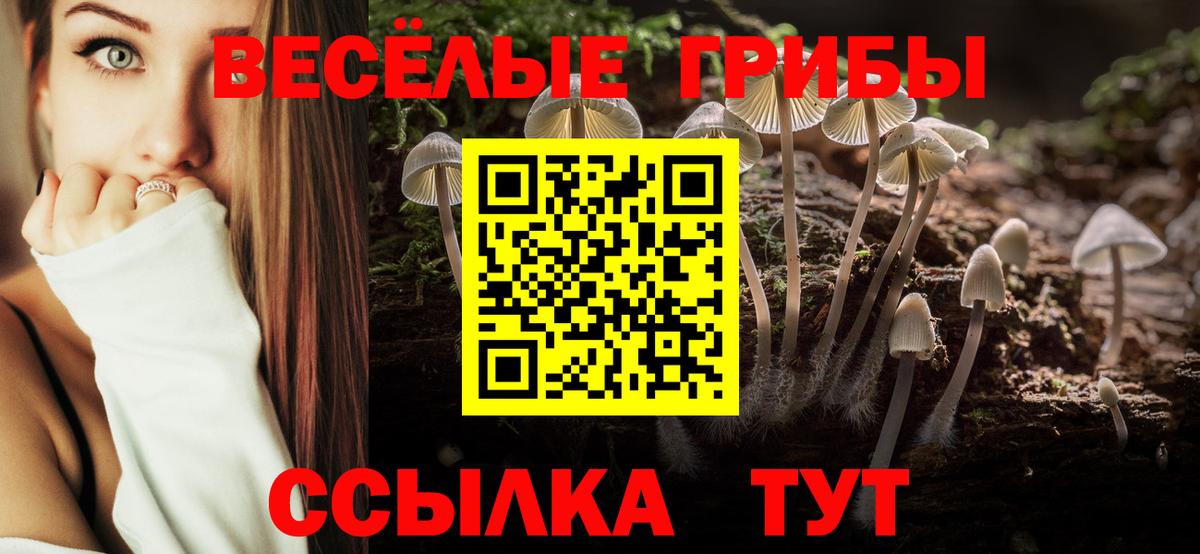 Галлюциногенные грибы Psilocybe Кунгур