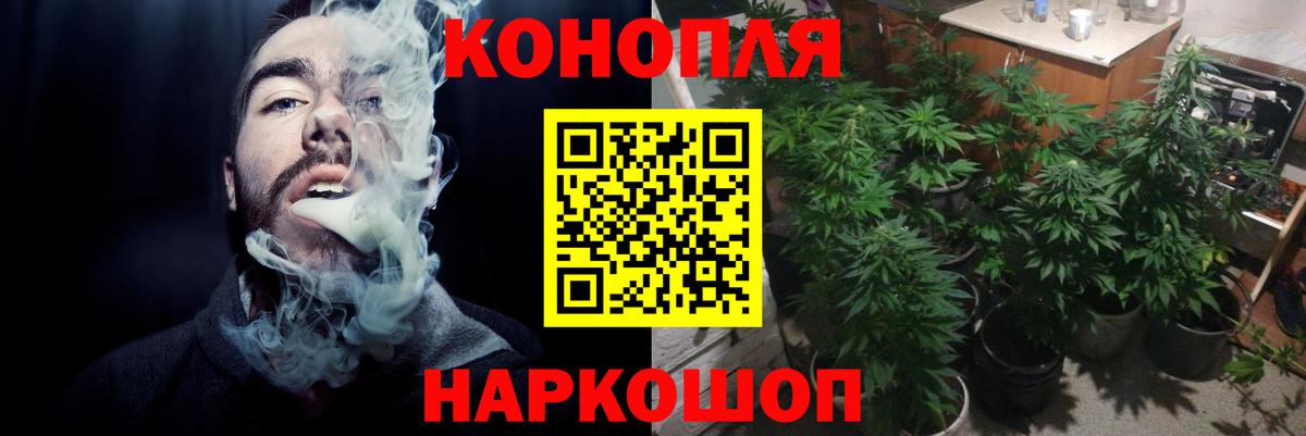 МАРИХУАНА Ganja  Марихуана план  Конопля сатива  Вход с VPN  Кунгур 